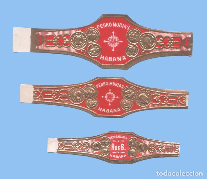 Bagues de cigare de collection: 3 VITOLAS CUBANAS ANTIGUAS - MARCA PEDRO MURIAS
