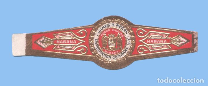 Bagues de cigare de collection: VITOLA CUBANA ANTIGUA - MARCA PEDRO MURIAS - JAMES B. REGAN IMPORTATION COMPANY. N. Y.