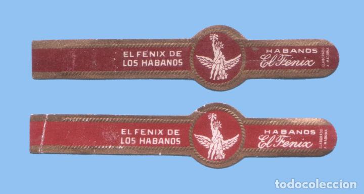 An&eacute;is de charuto de cole&ccedil;&atilde;o: 2 VITOLAS CUBANAS ANTIGUAS - MARCA EL FENIX DE LOS HABANOS