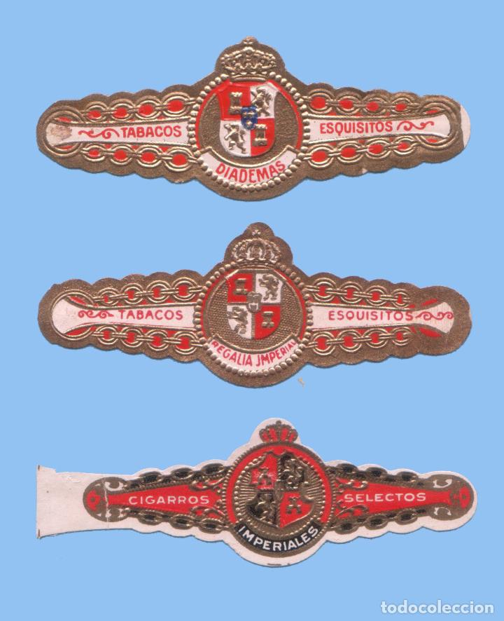 Sammlung von Banderolen: 3 VITOLAS ANTIGUAS - SIN MARCA - TEM&Aacute;TICA ESCUDOS