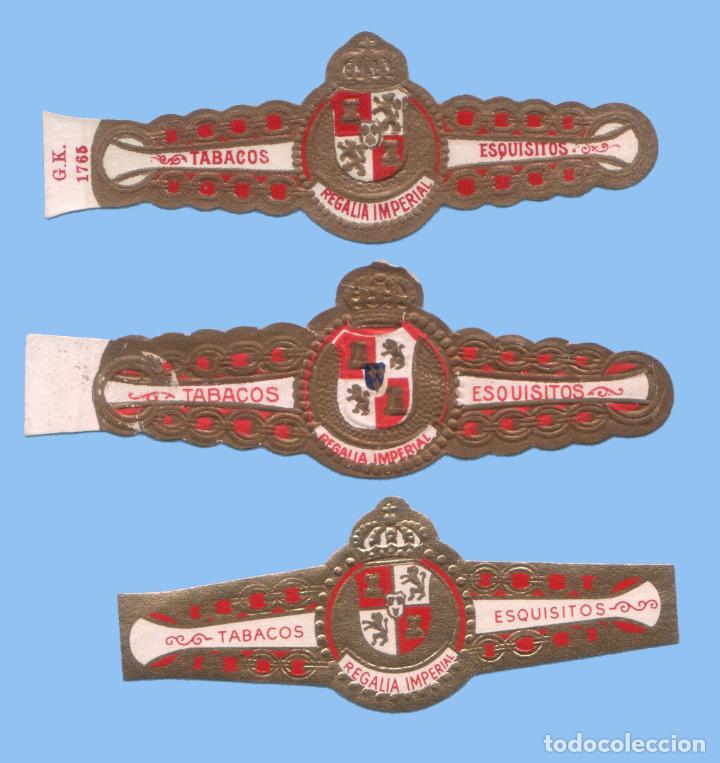 Sammlung von Banderolen: 3 VITOLAS ANTIGUAS - SIN MARCA - TEM&Aacute;TICA ESCUDOS # 3