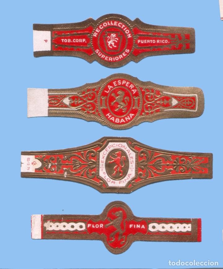 Sammlung von Banderolen: 4 VITOLAS ANTIGUAS - DISTINTAS MARCAS - TEM&Aacute;TICA HER&Aacute;LDICA - LE&Oacute;N RAMPANTE