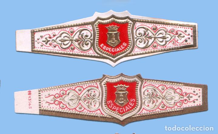 Sammlung von Banderolen: 2 VITOLAS ANTIGUAS - SIN MARCA. ESPECIALES - TEM&Aacute;TICA ESCUDOS