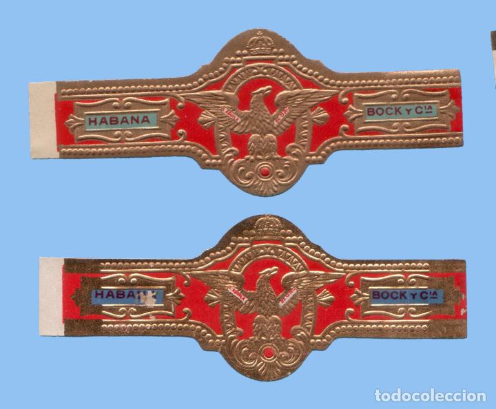 Sammlung von Banderolen: 2 VITOLAS CUBANAS ANTIGUAS - MARCA AGUILA DE ORO - BOCK Y CIA. (DISTINTAS)