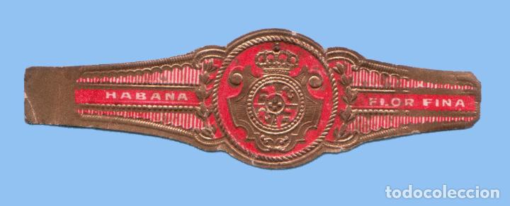 Sammlung von Banderolen: VITOLA ANTIGUA - SIN MARCA. FLOR FINA HABANA - TEM&Aacute;TICA ESCUDOS