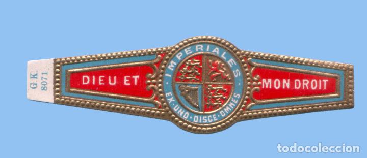 Sammlung von Banderolen: VITOLA ANTIGUA - SIN MARCA - DIEU ET MON DROIT. IMPERIALES - TEM&Aacute;TICA ESCUDOS - G.K. 8071