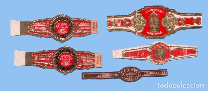 Sammlung von Banderolen: 5 VITOLAS CUBANAS ANTIGUAS - MARCA J. SUAREZ MURIAS