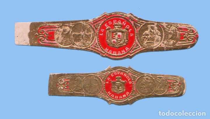 Sammlung von Banderolen: 2 VITOLAS CUBANAS ANTIGUAS - MARCA LA ESPA&Ntilde;OLA