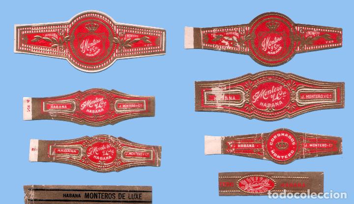 Sammlung von Banderolen: 8 VITOLAS CUBANAS ANTIGUAS - MARCA MONTERO. J. MONTERO Y CIA.