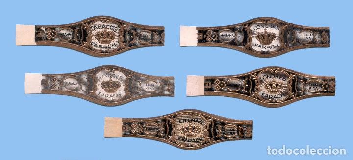 Sammlung von Banderolen: 5 VITOLAS CUBANAS ANTIGUAS - MARCA FARACH - CORONA