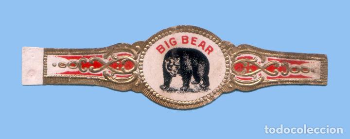 Sammlung von Banderolen: VITOLA ANTIGUA - MARCA BIG BEAR (PROCEDENCIA USA) - TEM&Aacute;TICA FAUNA - OSO