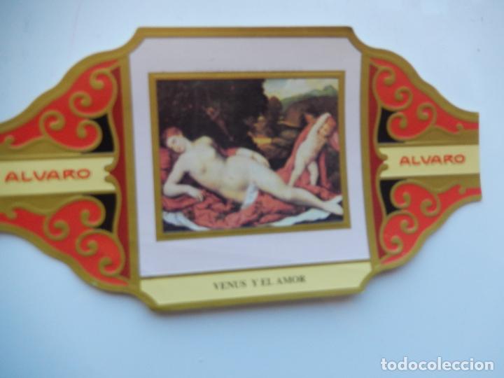 Collection cigar bands: VITOLA ALVARO - EL DESNUDO EN EL ARTE - VENUS Y EL AMOR - 13X7 CM
