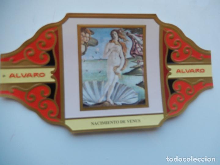 Collection cigar bands: VITOLA ALVARO - EL DESNUDO EN EL ARTE - NACIMIENTO DE VENUS - 13X7 CM