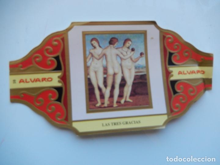 Collection cigar bands: VITOLA ALVARO - EL DESNUDO EN EL ARTE - LAS TRES GRACIAS - 13X7 CM