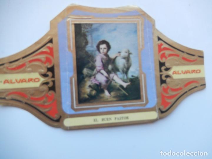 Collection cigar bands: VITOLA ALVARO - PINTORES ESPA&Ntilde;OLES -EL BUEN PASTOR - MURILLO - 13X7 CM