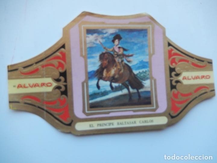 Collection cigar bands: VITOLA ALVARO - PINTORES ESPA&Ntilde;OLES -EL PRINCIPE BALTASAR CARLOS - VELAZQUEZ - 13X7 CM