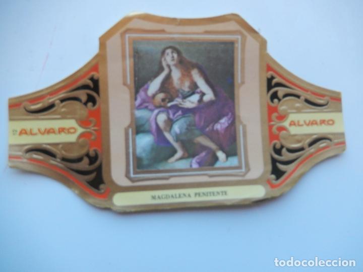 Collection cigar bands: VITOLA ALVARO - PINTORES ESPA&Ntilde;OLES -MAGDALENA PENITENTE - RIBERA - 13X7 CM