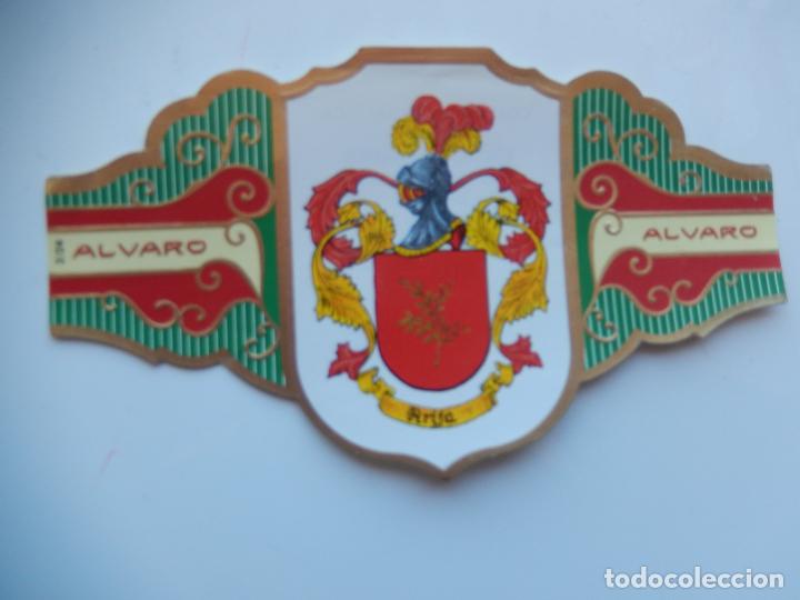 An&eacute;is de charuto de cole&ccedil;&atilde;o: VITOLA ALVARO -COLECCION HER&Aacute;LDICA SERIE IV - APELLIDO ARIJA - 13X7 CM