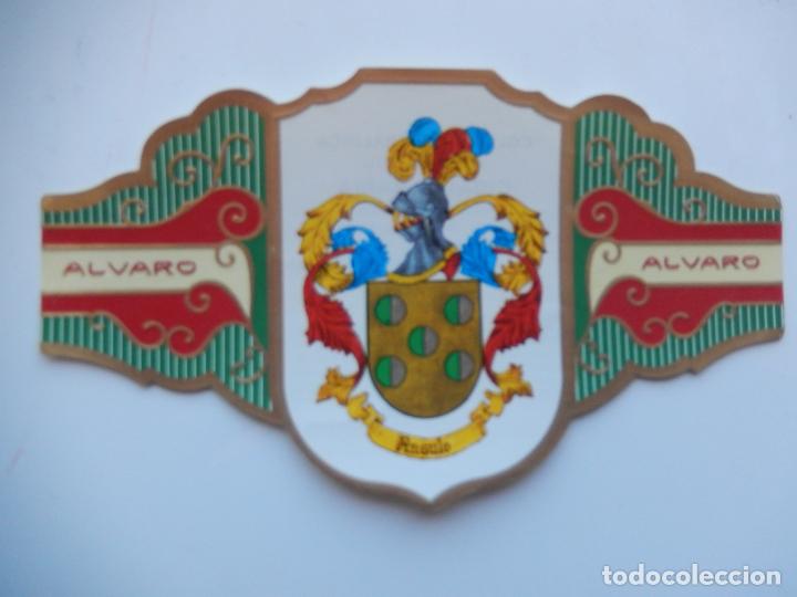 An&eacute;is de charuto de cole&ccedil;&atilde;o: VITOLA ALVARO -COLECCION HER&Aacute;LDICA SERIE IV - APELLIDO ANGULO - 13X7 CM