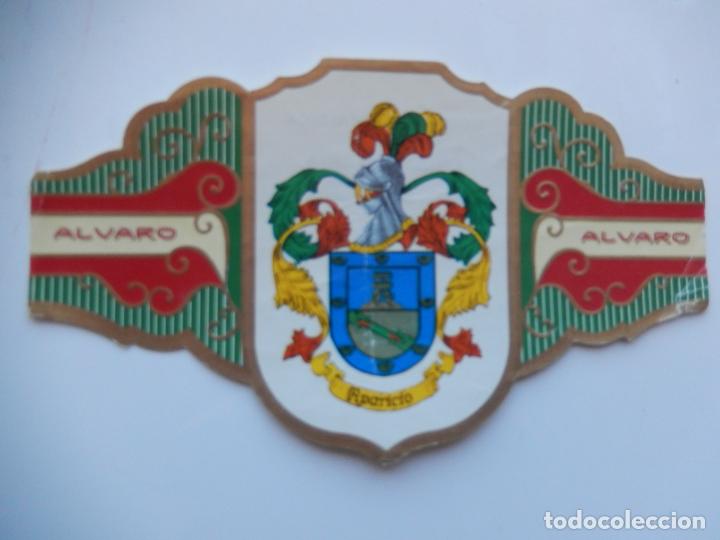 An&eacute;is de charuto de cole&ccedil;&atilde;o: VITOLA ALVARO -COLECCION HER&Aacute;LDICA SERIE IV - APELLIDO APARICIO - 13X7 CM