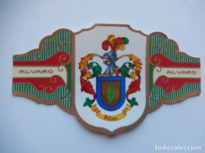 An&eacute;is de charuto de cole&ccedil;&atilde;o: VITOLA ALVARO -COLECCION HER&Aacute;LDICA SERIE III - APELLIDO PALMA - 13X7 CM