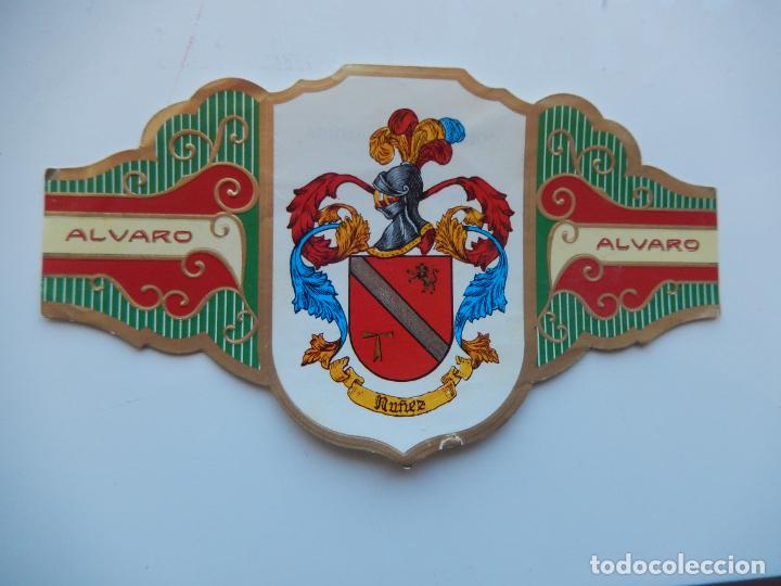 An&eacute;is de charuto de cole&ccedil;&atilde;o: VITOLA ALVARO -COLECCION HER&Aacute;LDICA SERIE III - APELLIDO NU&Ntilde;EZ - 13X7 CM