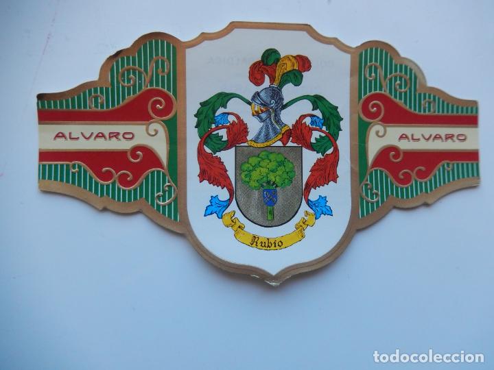 An&eacute;is de charuto de cole&ccedil;&atilde;o: VITOLA ALVARO -COLECCION HER&Aacute;LDICA SERIE III - APELLIDO RUBIO - 13X7 CM