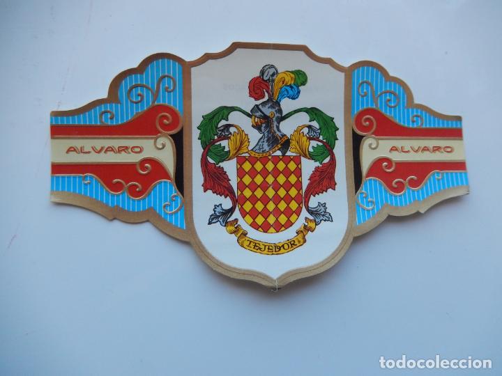 An&eacute;is de charuto de cole&ccedil;&atilde;o: VITOLA ALVARO -COLECCION HER&Aacute;LDICA SERIE II - APELLIDO TEJEDOR - 13X7 CM