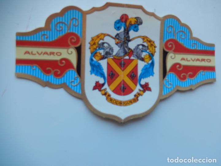 An&eacute;is de charuto de cole&ccedil;&atilde;o: VITOLA ALVARO -COLECCION HER&Aacute;LDICA SERIE II - APELLIDO RODRIGUEZ - 13X7 CM