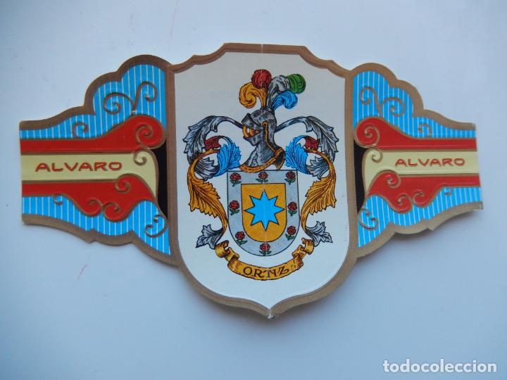 An&eacute;is de charuto de cole&ccedil;&atilde;o: VITOLA ALVARO -COLECCION HER&Aacute;LDICA SERIE II - APELLIDO ORTIZ - 13X7 CM