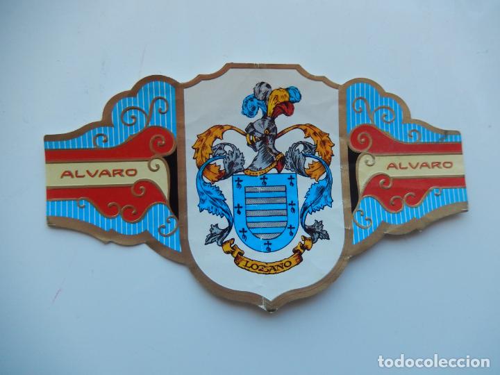 An&eacute;is de charuto de cole&ccedil;&atilde;o: VITOLA ALVARO -COLECCION HER&Aacute;LDICA SERIE II - APELLIDO LOZANO - 13X7 CM