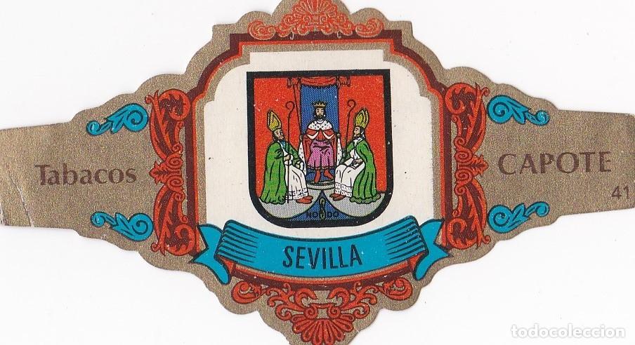 An&eacute;is de charuto de cole&ccedil;&atilde;o: Vitola. Capote, escudos provincias de Espa&ntilde;a N&ordm;41. Sevilla.