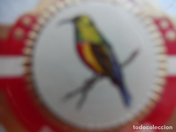 Collection cigar bands: VITOLA NEREIDA - SUIMANGA - CONGO.