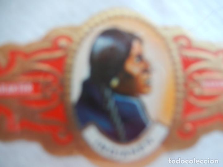 Collection cigar bands: VITOLA HAVANA KARAKTER - INDIANEN - ZWARTVOET-INDIAAN.