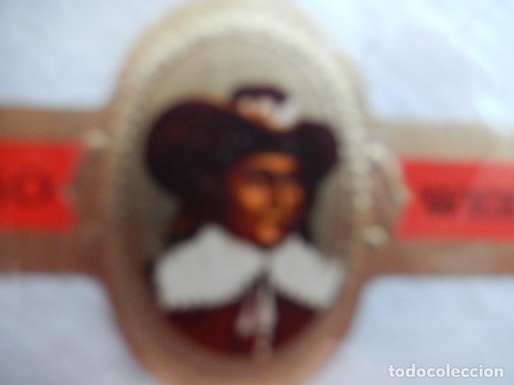 Vitolas de colecci&oacute;n: VITOLA CALYPSO WEEKEND.