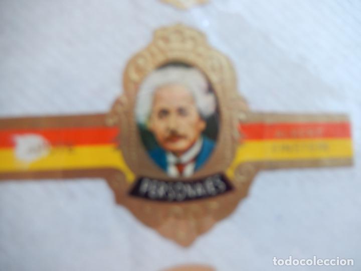 Vitolas de colecci&oacute;n: ALBERT EINSTEIN - VITOLA CAPOTE - PERSONAJES. - Foto 1