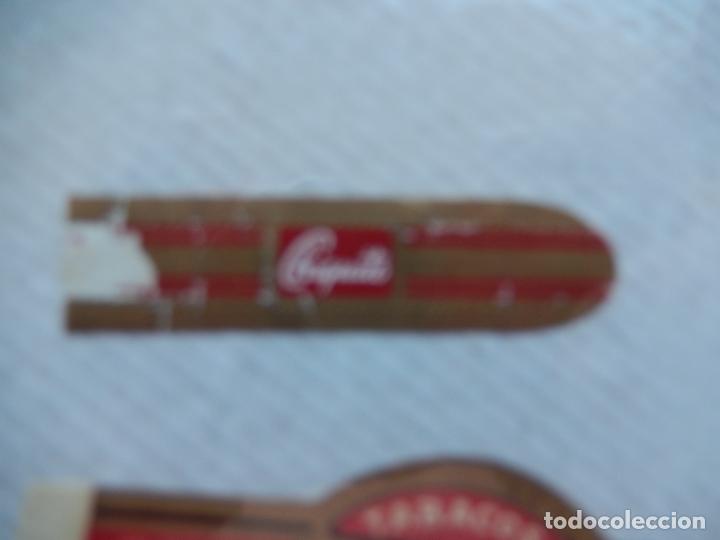 Vitolas de colecci&oacute;n: VITOLA CHIQUITO. - Foto 1