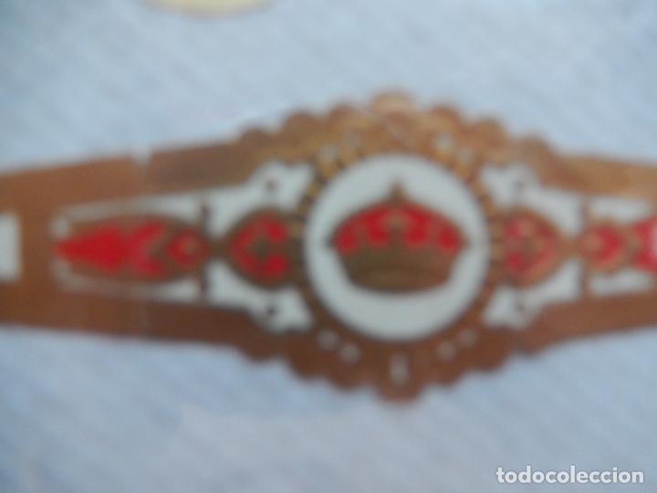 Vitolas de colecci&oacute;n: VITOLA RUMBO. - Foto 1
