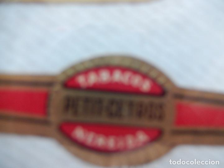 An&eacute;is de charuto de cole&ccedil;&atilde;o: VITOLA TABACOS NEREIDA - PETIT-CETROS.