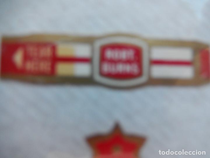 An&eacute;is de charuto de cole&ccedil;&atilde;o: VITOLA ROBT. BURNS.