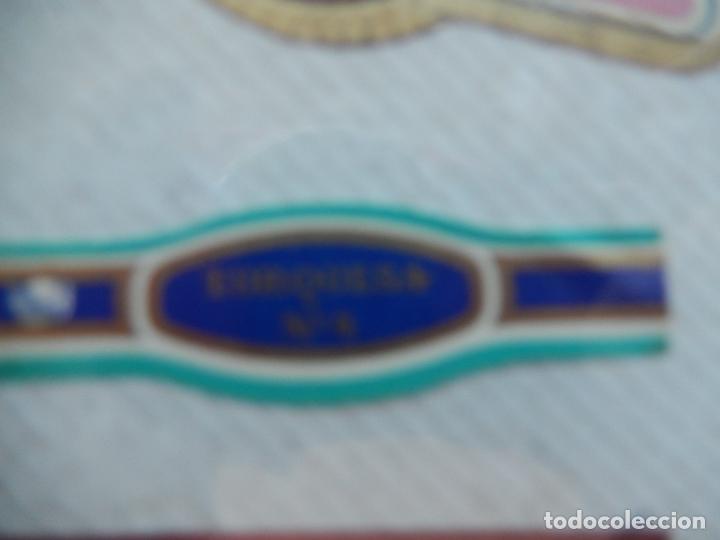 Vitolas de colecci&oacute;n: VITOLA TURQUESA N&ordm; 4. - Foto 1