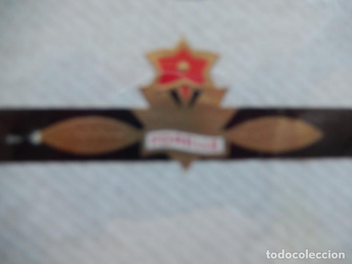 An&eacute;is de charuto de cole&ccedil;&atilde;o: VITOLA FORELLE.