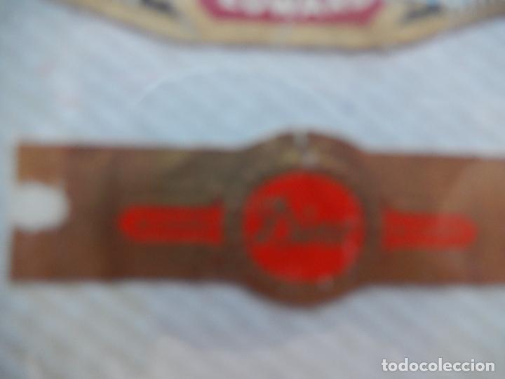 Vitolas de colecci&oacute;n: VITOLA ALVARO DINO. - Foto 1