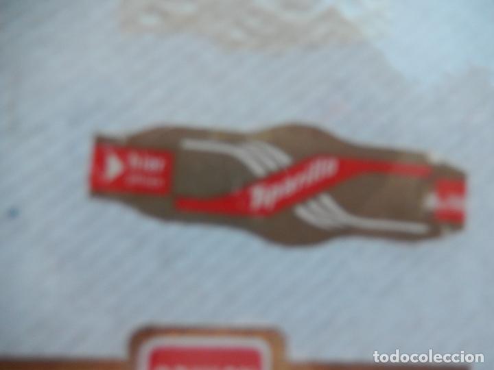 An&eacute;is de charuto de cole&ccedil;&atilde;o: VITOLA TIPARILLO.