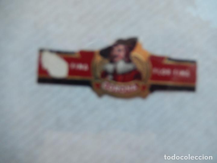 Sammlung von Banderolen: VITOLA FLOR FINA - CORONA.