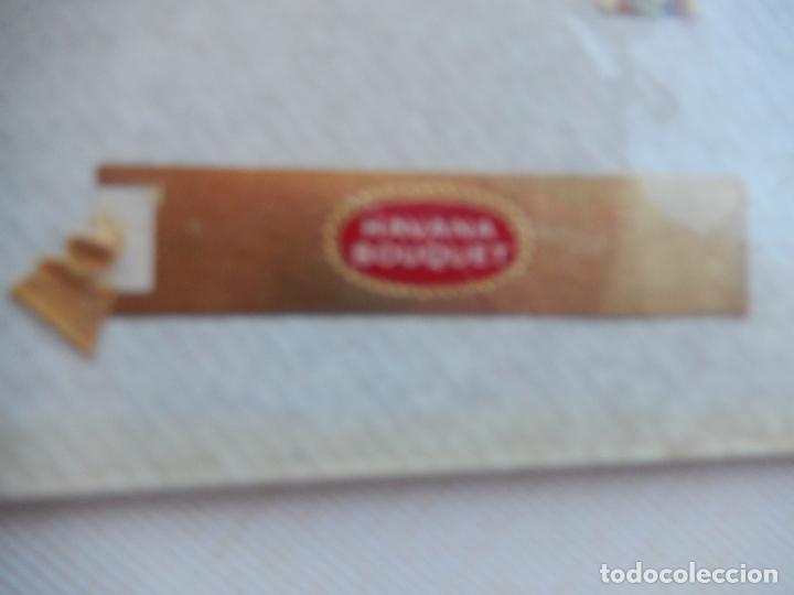 An&eacute;is de charuto de cole&ccedil;&atilde;o: VITOLA HAVANA BOUQUET.