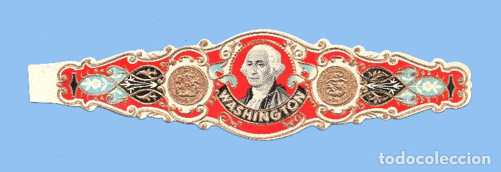 Collection cigar bands: Vitola semigigante antigua - Marca WASHINGTON. Procedencia Holanda. (16,5 cms) # 1