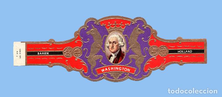 Collection cigar bands: Vitola semigigante antigua - Marca WASHINGTON (Holanda. Baarn). (15 cms)