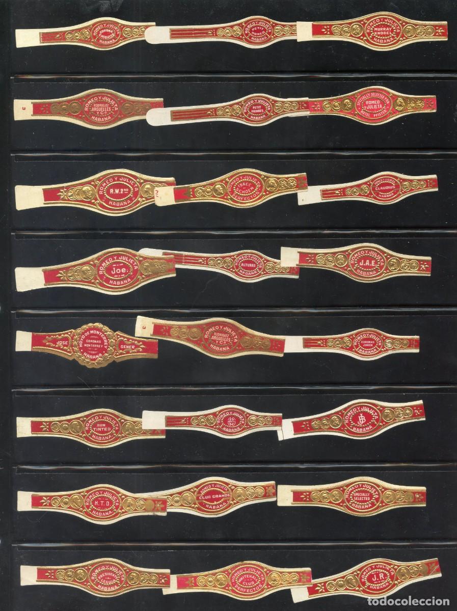 Collection cigar bands: Gran Coleccion de 325 Vitolas, Anillos y etiquetas de Habanos