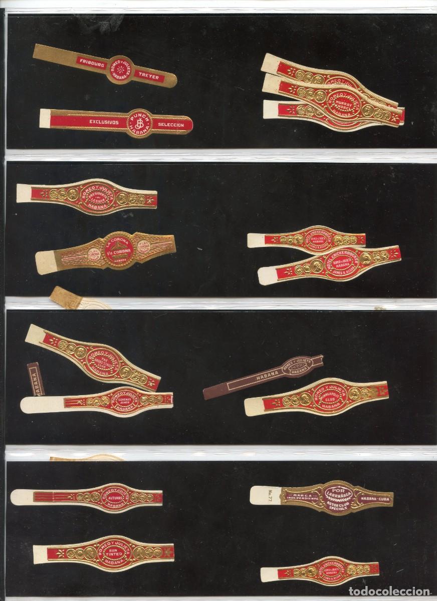Collection cigar bands: Gran Coleccion de 98 Vitolas, Anillos y etiquetas de Habanos